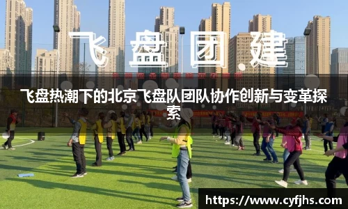 飞盘热潮下的北京飞盘队团队协作创新与变革探索